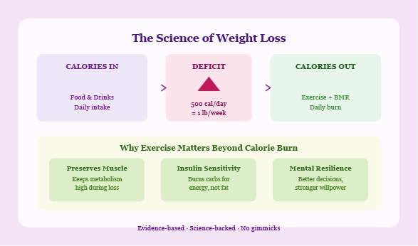 science concept showing calorie deficit chart and metabolism illustration representing evidence-based weight loss principles
